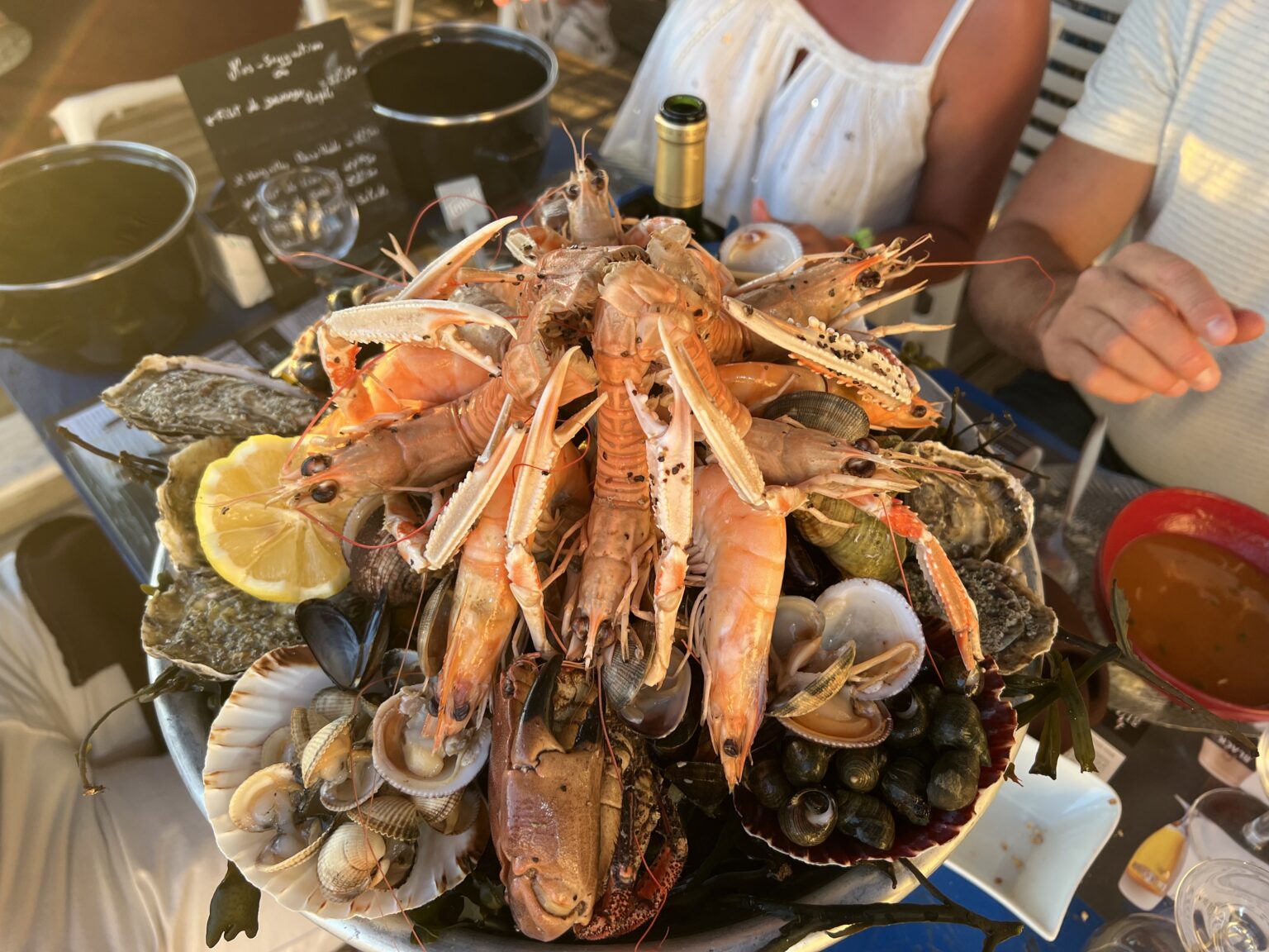 Huîtres et vin du Médoc