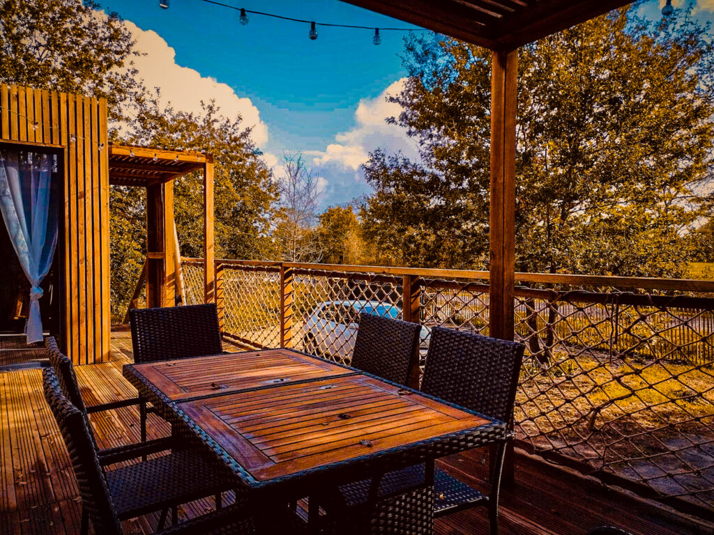 Terrasse couverte de 20 m² avec sa table et son barbecue