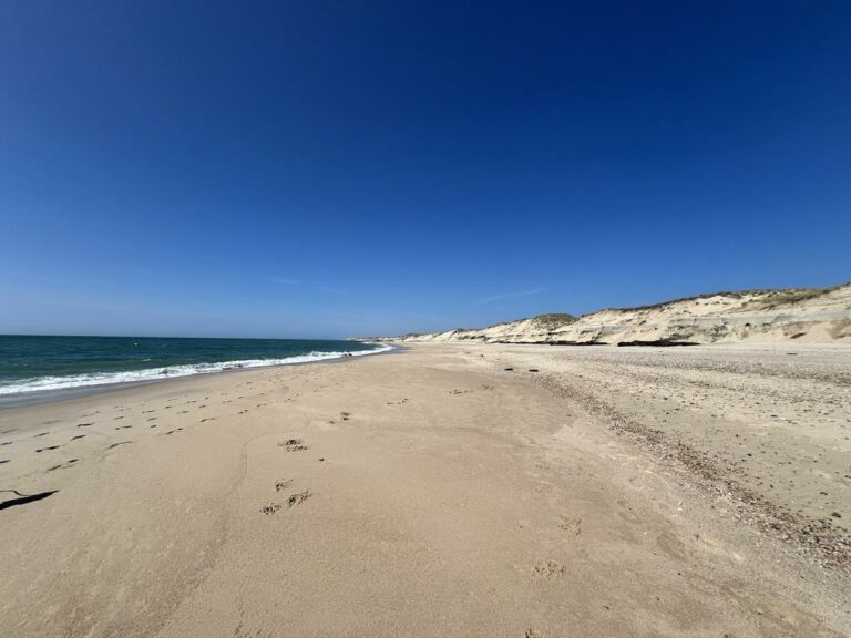 Plage du Gurp et ses dunes sauvages en plein jour